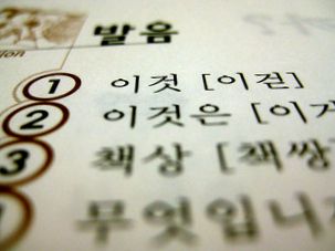 bajar rosetta stone korean vía mega